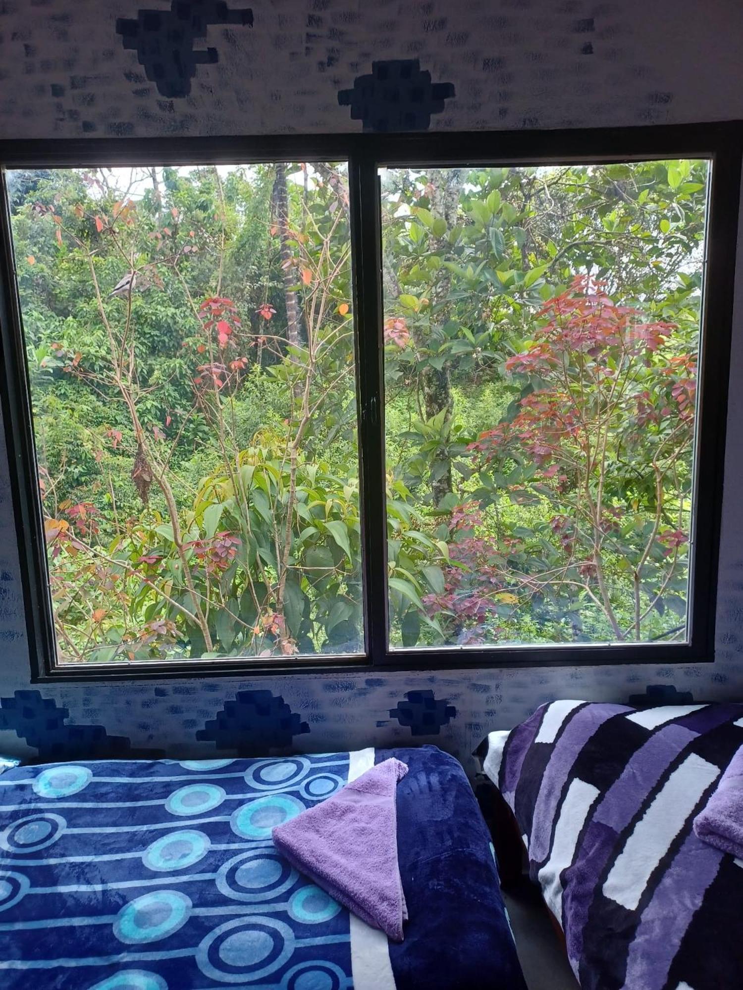 Hospedaje Pa'Gaia San Rafael  Extérieur photo